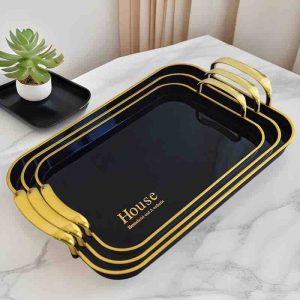 3 IN1 TRAY