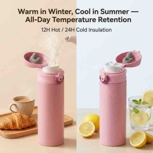 500MLS INSULATED FLASK